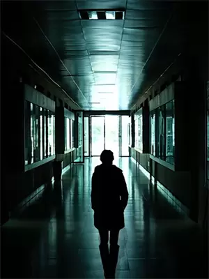 重生之繁华盛开(陆泽宇苏晚)在线免费小说_热门网络小说重生之繁华盛开陆泽宇苏晚